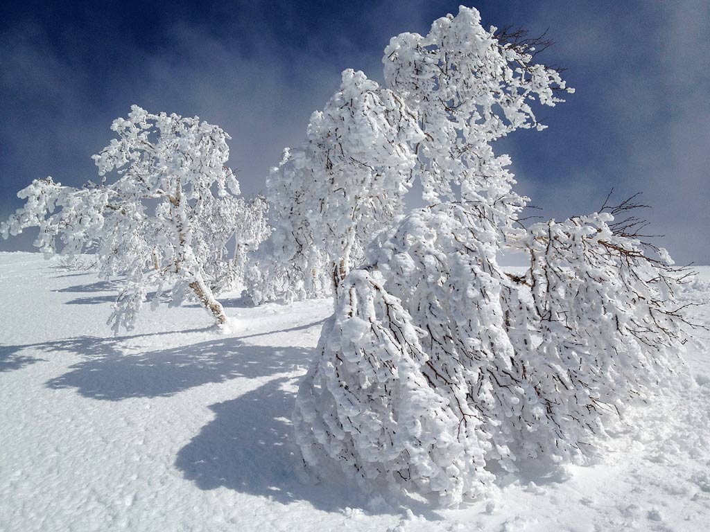 mt.yotei-makkari-frozen-tees-2012-03-10